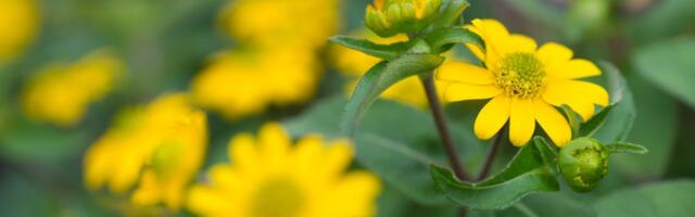 ILMATEADE | Nädala keskpaik on jahe ja vihmane, kuid reedel ilm muutub