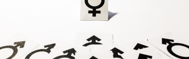 Maskuliinsuse minetanud Lääne ühiskonna loomulik teekond kollektivismi