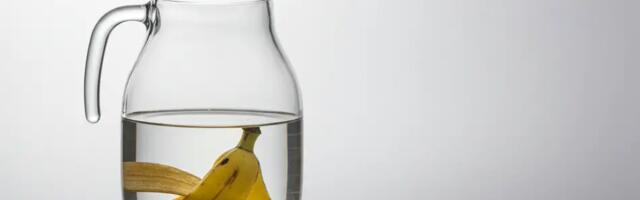 Kui sa oma toalilli sellega kastad, on nad 10 korda lopsakamad kui praegu.