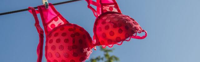 Kui tihti peaks rinnahoidjaid pesema?