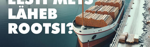 Video. Kas kogu Eesti mets läheb Rootsi? “Puidu väärindamine”