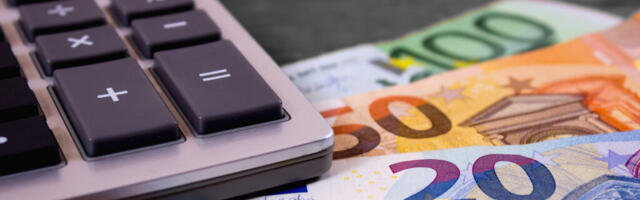 Eesti keskmine palk langes kullas mõõdetuna 1995. aasta tasemele