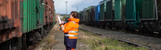 Puukentsefaliiti haigestumine sageneb: tööandjad pakuvad tasuta kaitsesüsti