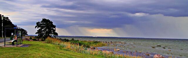 Jaanus Volmre NÄDALA FOTO