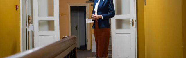 Evelin Poolamets: “Ükski tuulik ega päikesepaneel ei pane tuult puhuma ega päikest paistma”