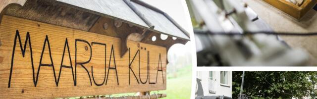 MIS SAAB HOMME? | Taavi Alas: andkem intellektipuudega inimestele rohkem võimalusi