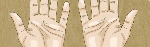 Mida räägivad sinu käejooned.