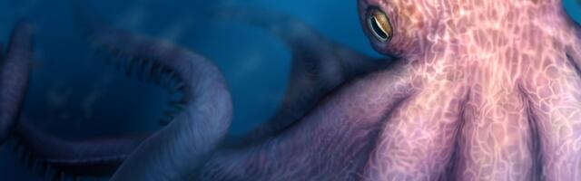 Muistne kaheksajalg kasvas rekka suuruseks