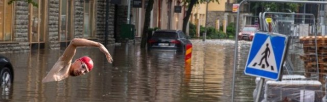 FOTO! Politsei palub abi täna Maakri tänaval liiklust seganud ujuja tuvastamisel