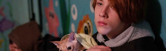 SÕJAPÄEVIK (1513. päev) | Venelased korraldasid Ukrainale aasta suurima õhurünnaku