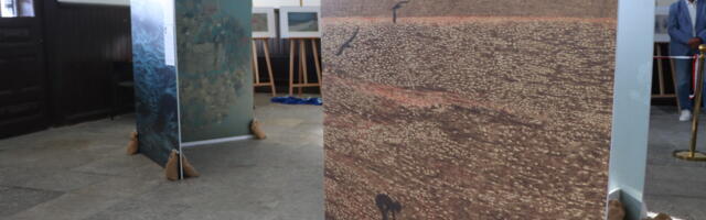 Poola suursaadik avas tippkunstniku näituse