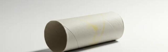 Ära viska tualettpaberi rulli minema – sa ei kujuta ette, mida kõike sellega teha saab