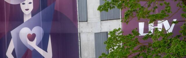 LHV panga töös esineb tõrkeid