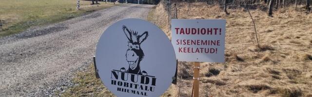 PTA nõuab talunikult linnugripi hüvitise maksmiseks vaikimist