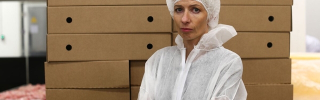 Anne Mere: digitaliseerimisplaanide edasilükkajaid ohustab mahajäämine