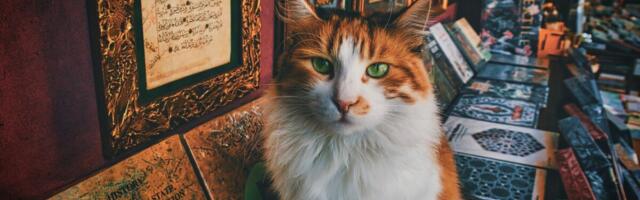 Soovid, et aasta 2022 tuleks teistsugune? Seitse raamatut, mis viivad sind sihile