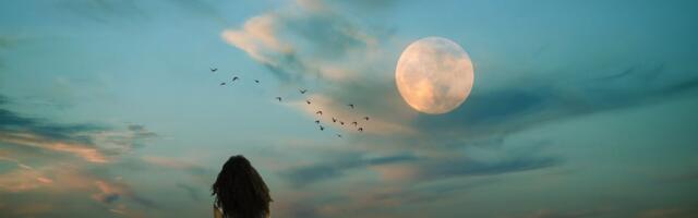 Vead tulevad nähtavale ja nõuavad kiiret tegutsemist