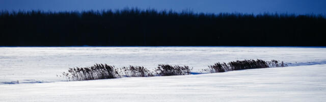Eesti 108, kuhu liigud?