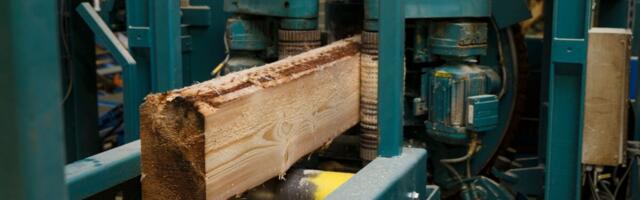Soome saetööstus pankrotilainet ei karda