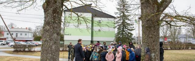GALERII ⟩ Pärnu-Jaagupi linnumaja asukatele saab otsepildi vahendusel elada