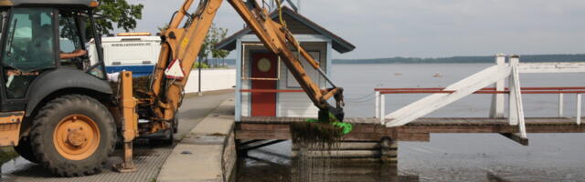 Linnavalitsus tellis adru riisumise