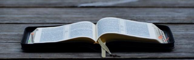 Huvitavad faktid, mida sa võib-olla ei tea veel.