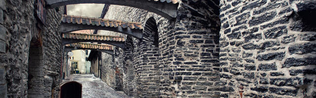 KOLUMN ⟩ Malle Pärn: me elame maailmas, mille me oleme tasuta kingiks saanud