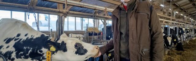 Põllumeeste eestkõneleja Margo Klaasmägi: kas efektiivset tootmist hakatakse tõrjuma?