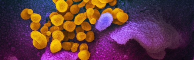 Vanad tuttavad: koroonaepideemia tabas inimesi juba 25 000 aasta eest