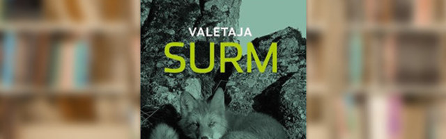 RAAMATUBLOGI: Kes valetab, lahkub teise ilma