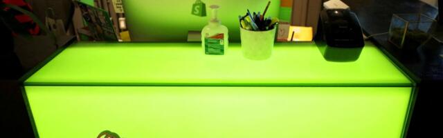 E-kaubanduse tõusev täht prognoosib käibekasvu aeglustumist