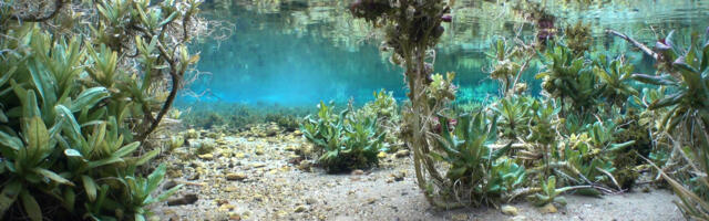 Hiite kuvavõistlus kutsub pühapaiku jäädvustama