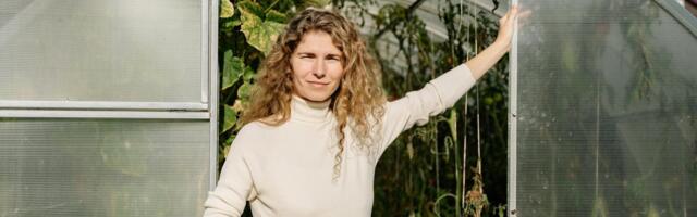 Arst soovitab: suvisel ajal pea keskpäeval kasvuhoones toimetamisega piiri