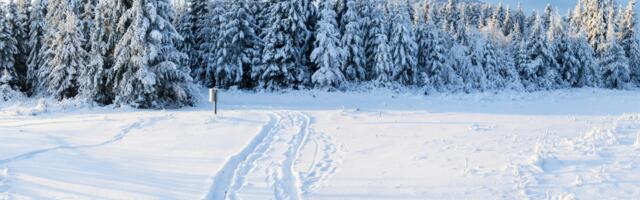 Päevahoroskoop : neljapäev, 26. veebruar