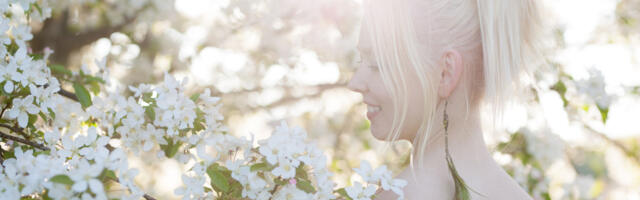 KEVADISED TÄRKAJAD: milliseid kevadtaimi varsti korjata tasuks?