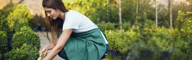 PROVIISORI NÕUANDED I Kuidas aiatöödel end kevadise tuule ja lihasvalude eest kaitsta?