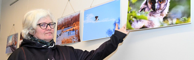 HELEN PARMENI KAKSIKNÄITUS PÄRNUMAAL TORI VALLAS