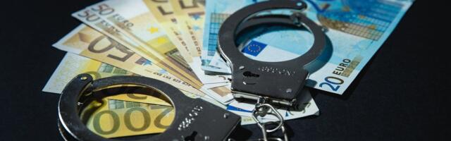 Priit Sibul: iga mikroettevõtja pole pätt