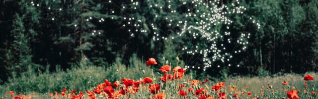 Põlva Kultuurikeskuses avatakse täna näitus "Krati metafoorid", mille autorid on tunnustatud fotograafid Prantsusmaalt ja tehisintellekt Midjourney