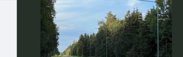 VVV*: jaburat valgustuslahendust õigustav abivallavanem jäi jänni