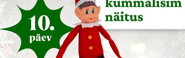 VIGURDAV PÄKAPIKK | Kümnes päev: päkapikud panid püsti ühe väga eriskummalise näituse
