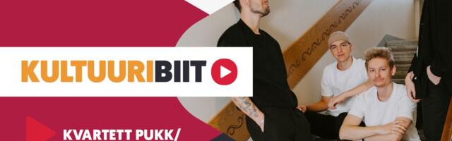 KULTUURIBIIT | Kvarteti Pukk/Lehto/Kaasik/Mäetalu playlist 