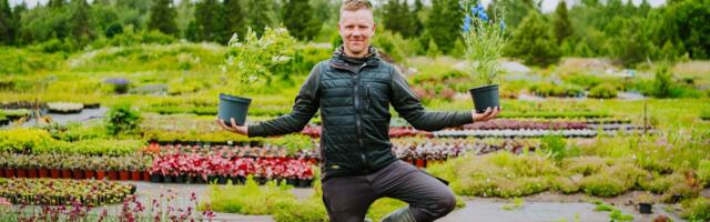 Miks osta taimed koduaeda otse kasvatajalt?