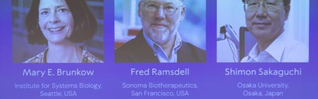 Discovery of cells that keep immune responses in check wins medicine Nobel Prize