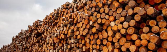 PUIDUTURG | Paberipuidu hind tõusis