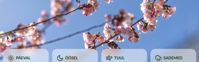 ILMATEADE | Viimased külmad ilmad, seejärel toimub järsk soojenemine