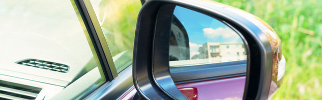 Politsei sai kätte Pirital ja Peetris sõidukite küljepeeglite varguses kahtlustatava mehe