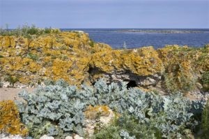 Natura first! Loodus esimesena!