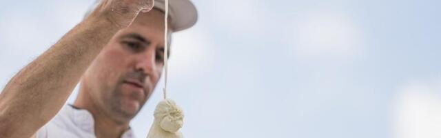 VIDEO | Nii valmib Viinamärdi talus üks maailma hittjuustudest