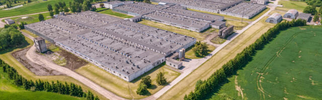 Eesti suurimas seafarmis tuvastati katk. 27 000 siga hukatakse